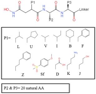 Int J Biol Sci Image