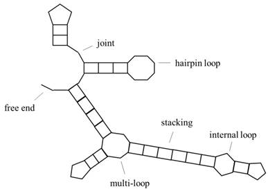 Int J Biol Sci Image