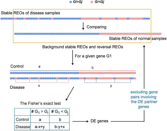 Int J Biol Sci Image