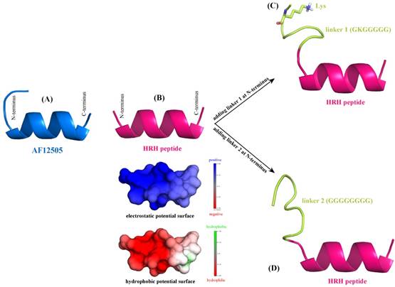 Int J Biol Sci Image