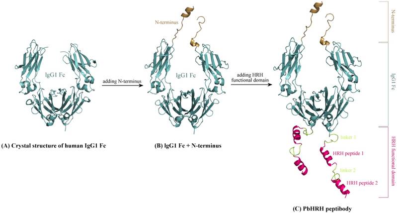 Int J Biol Sci Image