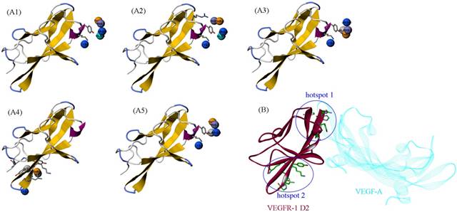 Int J Biol Sci Image