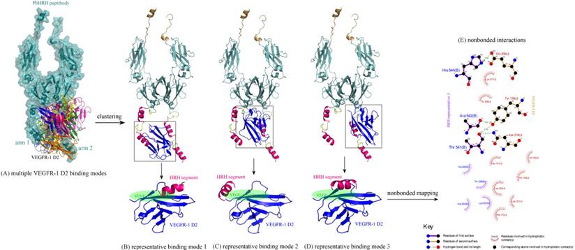 Int J Biol Sci Image