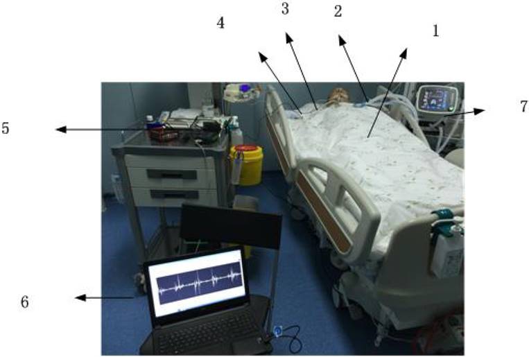 Int J Biol Sci Image