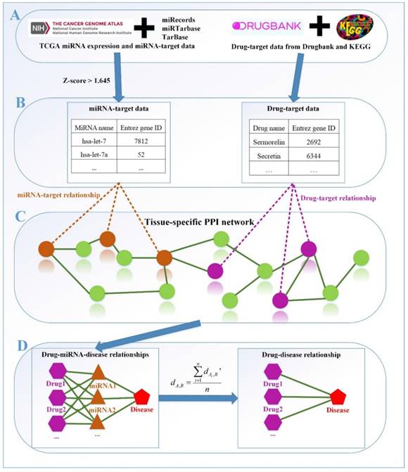 Int J Biol Sci Image