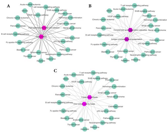 Int J Biol Sci Image