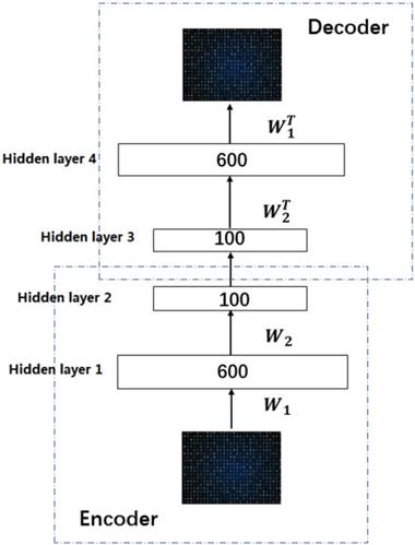 Improving Prediction of Self-interacting Proteins Using Stacked Sparse ...