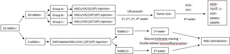 Int J Biol Sci Image