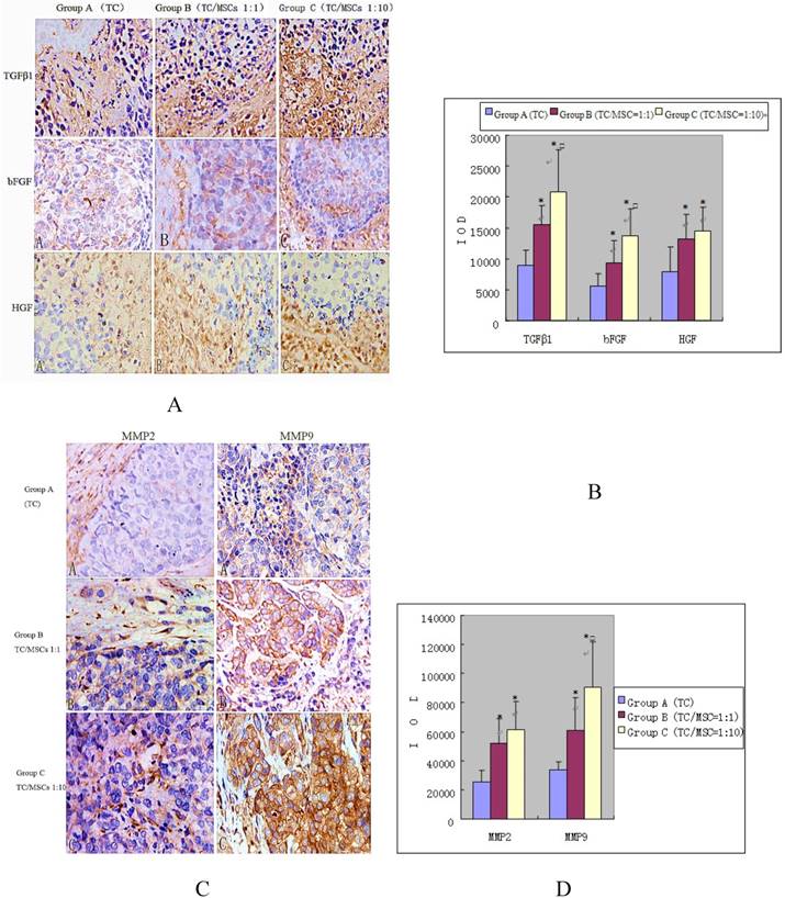 Int J Biol Sci Image