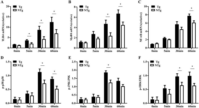 Int J Biol Sci Image