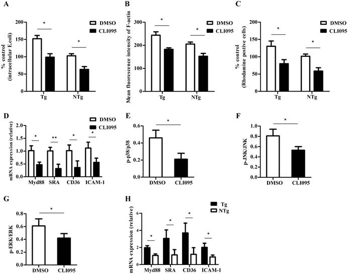 Int J Biol Sci Image