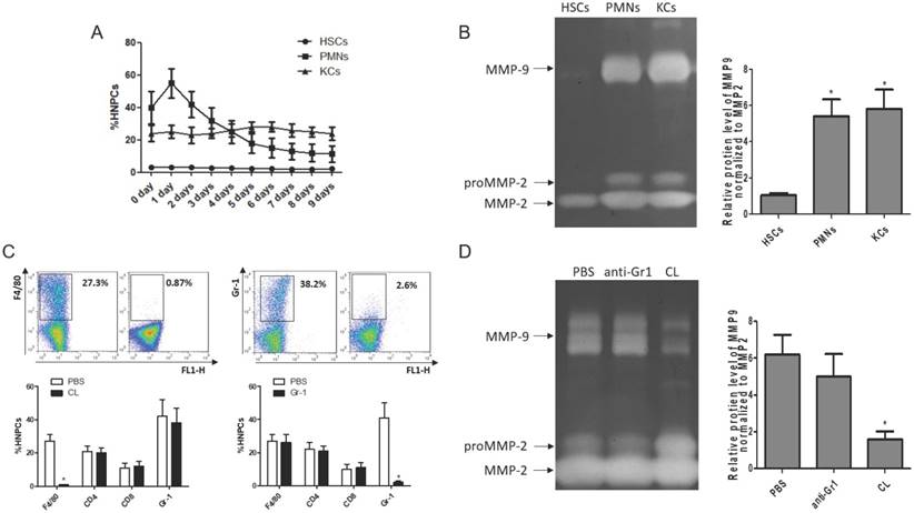 Int J Biol Sci Image