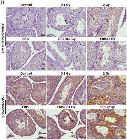 Int J Biol Sci Image