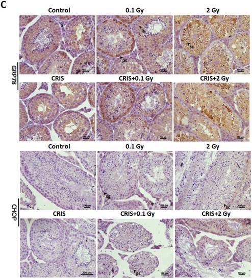 Int J Biol Sci Image