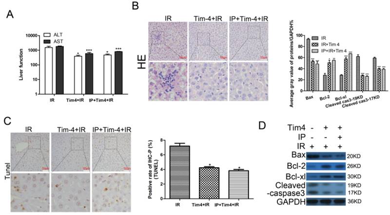 Int J Biol Sci Image