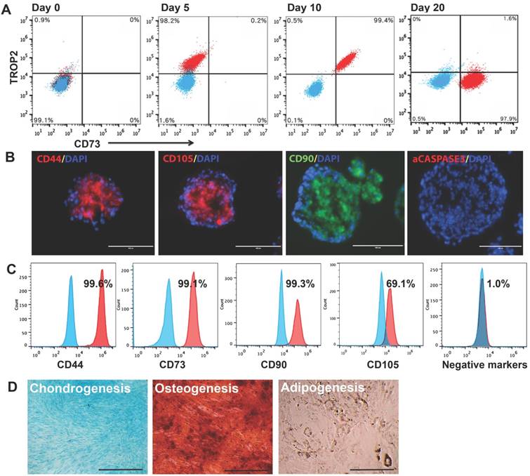 Int J Biol Sci Image