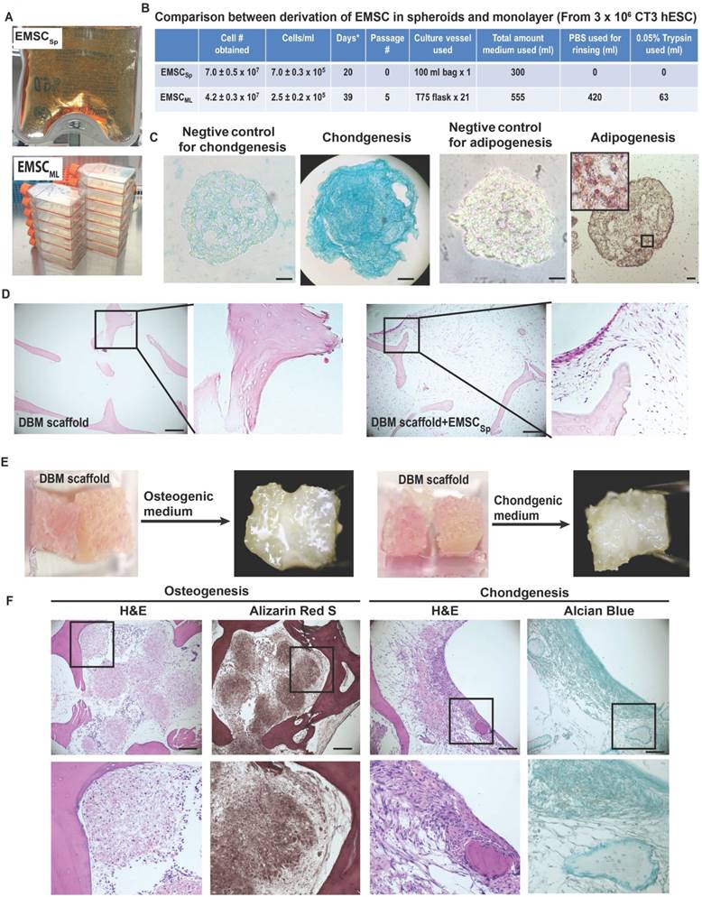 Int J Biol Sci Image