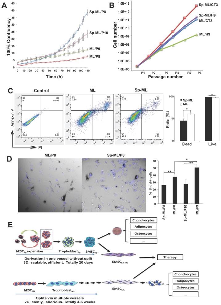 Int J Biol Sci Image