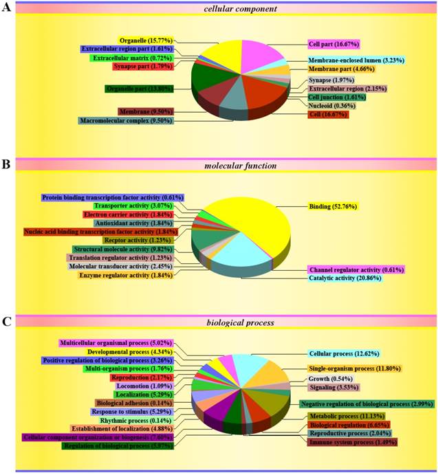 Int J Biol Sci Image