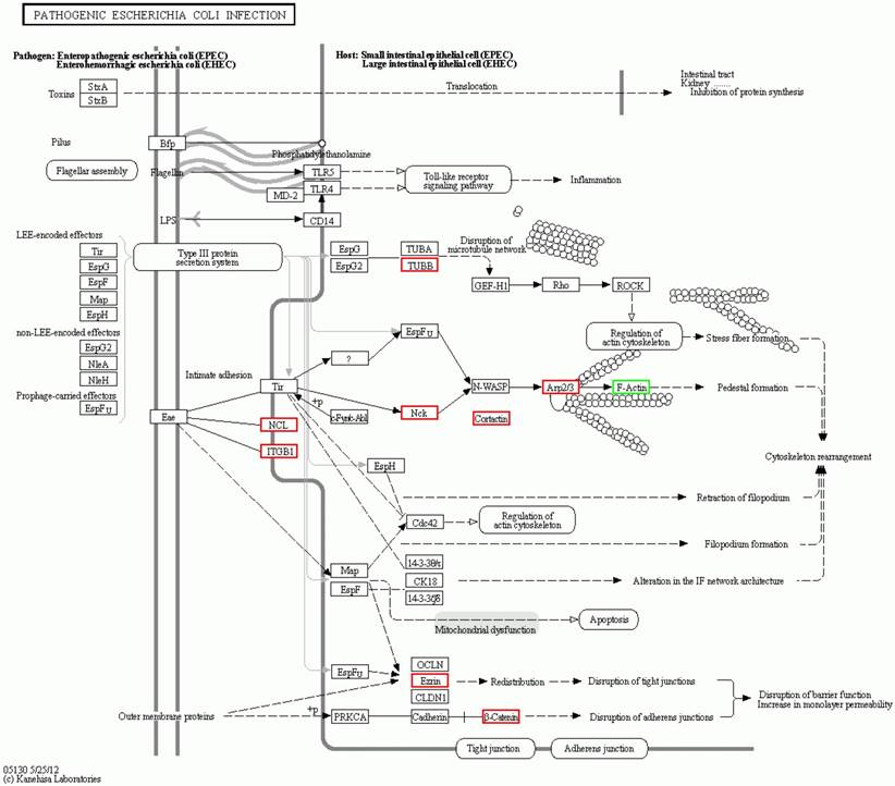 Int J Biol Sci Image