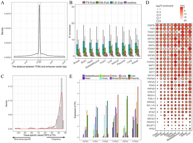 Int J Biol Sci Image