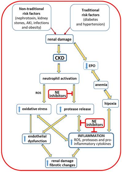 Int J Biol Sci Image