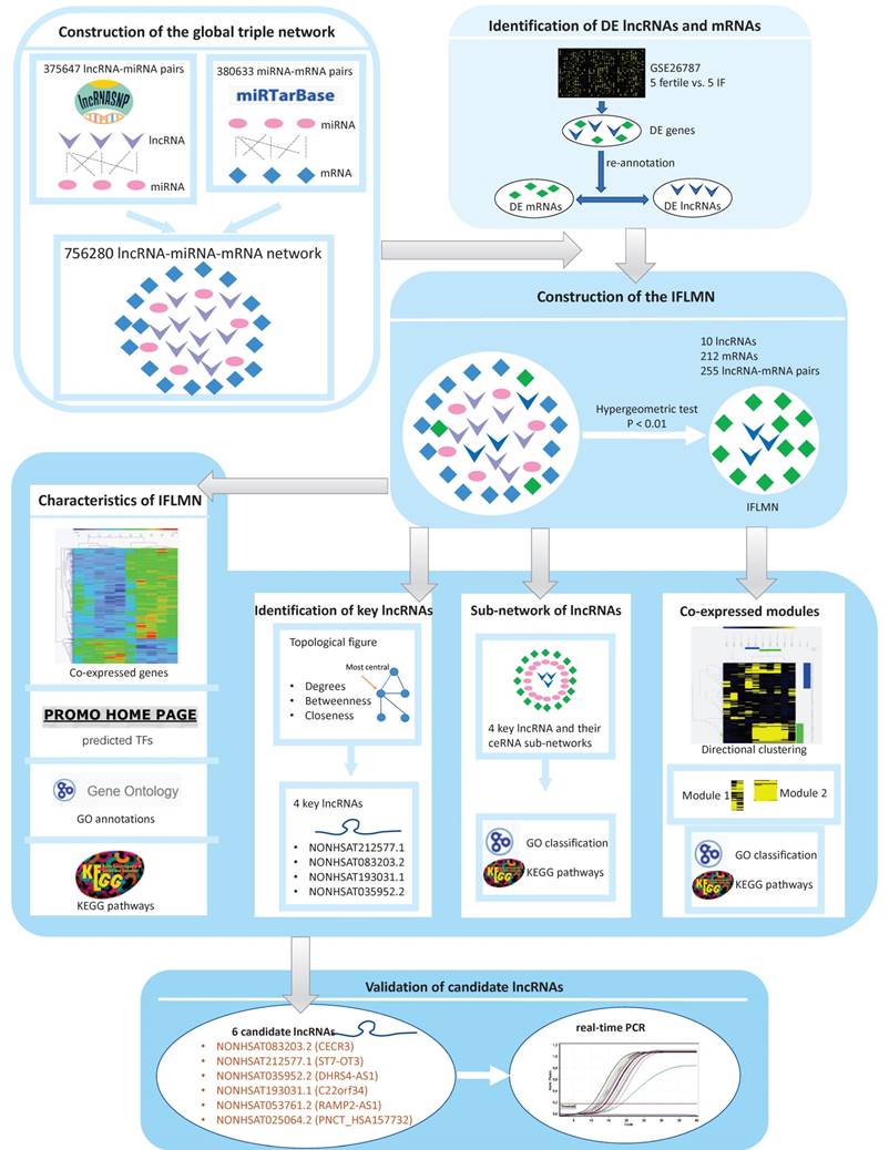 Int J Biol Sci Image