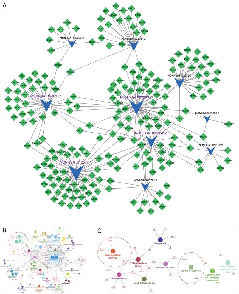 Int J Biol Sci Image