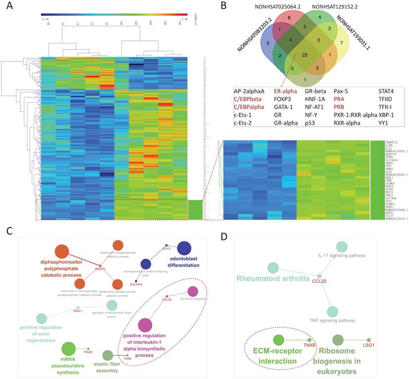 Int J Biol Sci Image