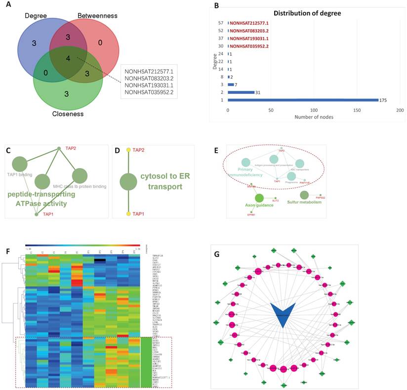 Int J Biol Sci Image