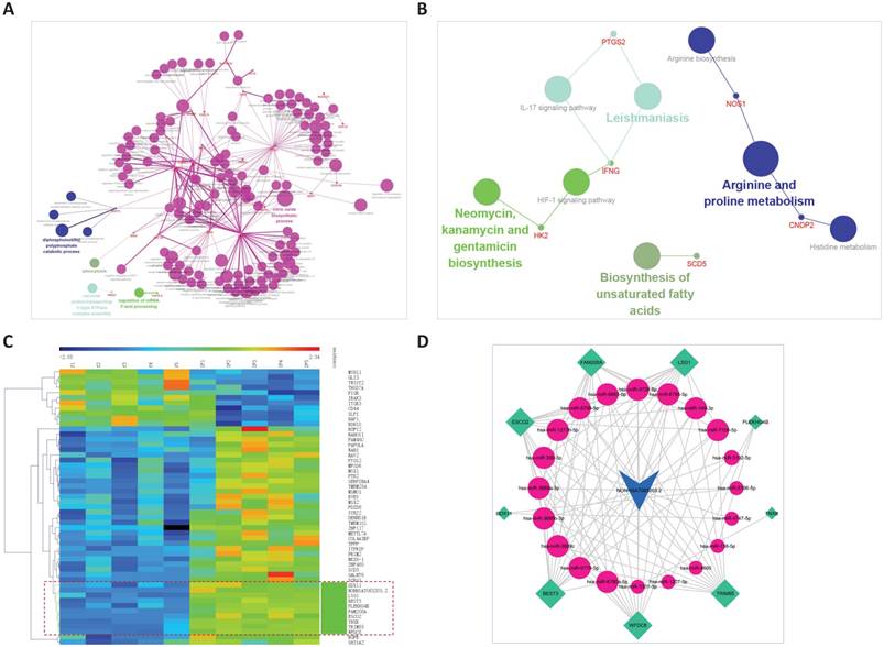 Int J Biol Sci Image