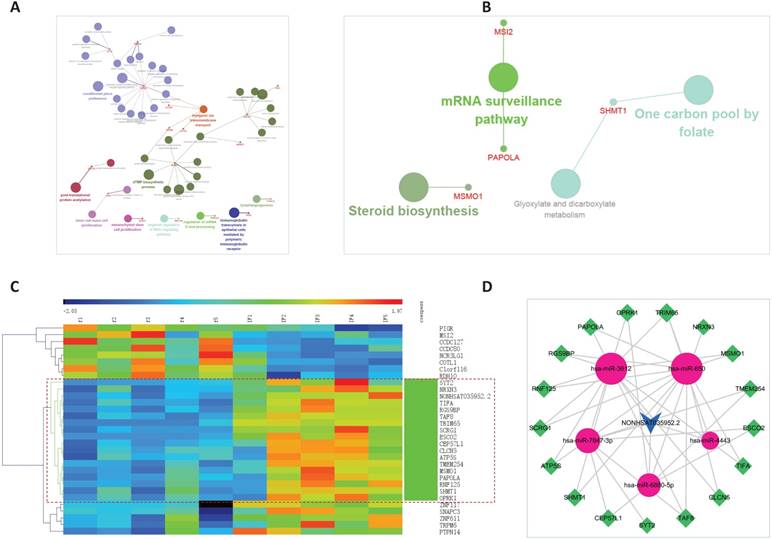 Int J Biol Sci Image