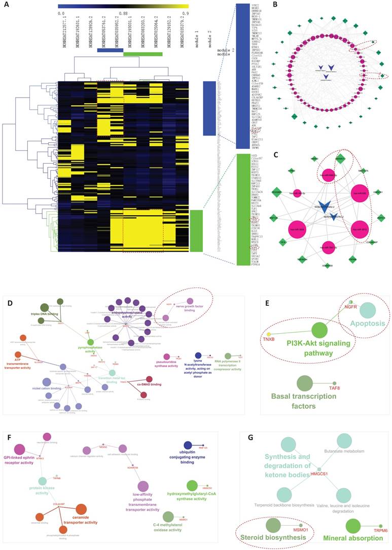 Int J Biol Sci Image