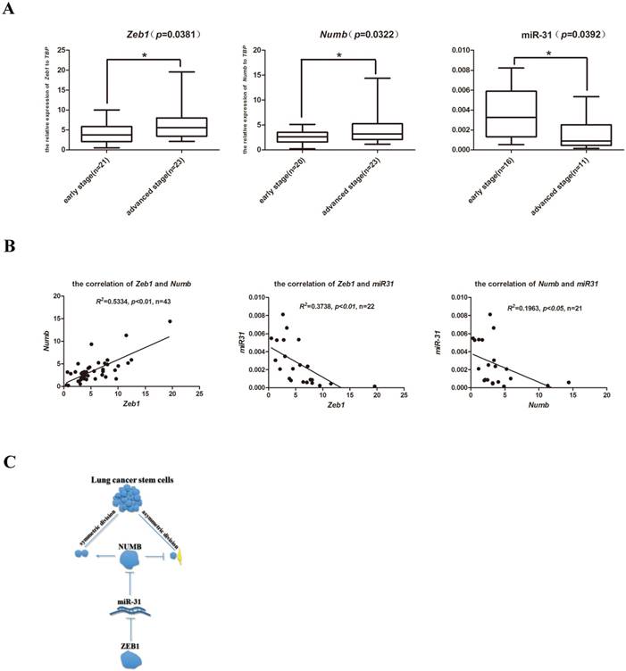 Int J Biol Sci Image