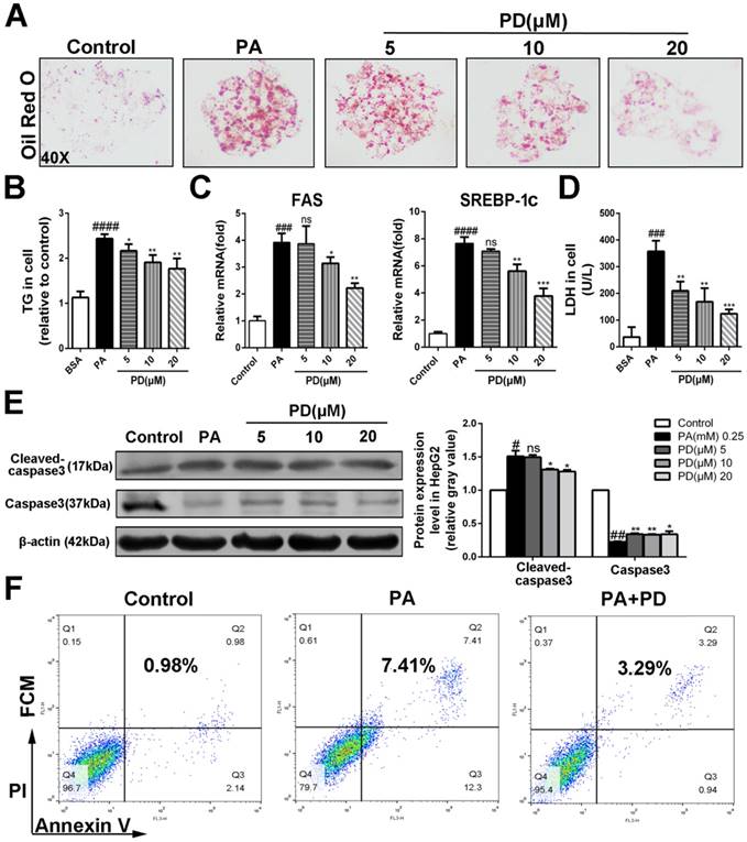 Int J Biol Sci Image