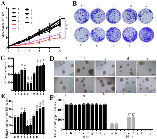 Int J Biol Sci Image