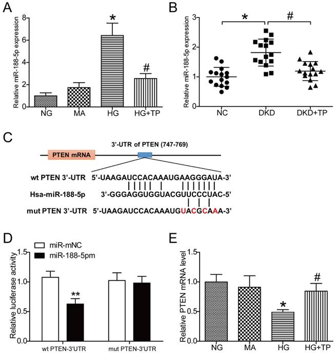 Int J Biol Sci Image