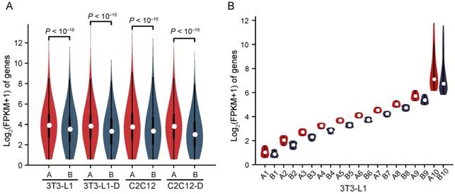 Int J Biol Sci Image