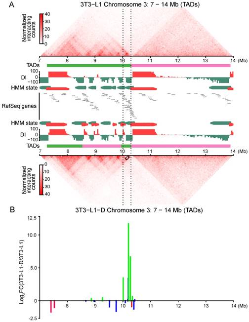 Int J Biol Sci Image