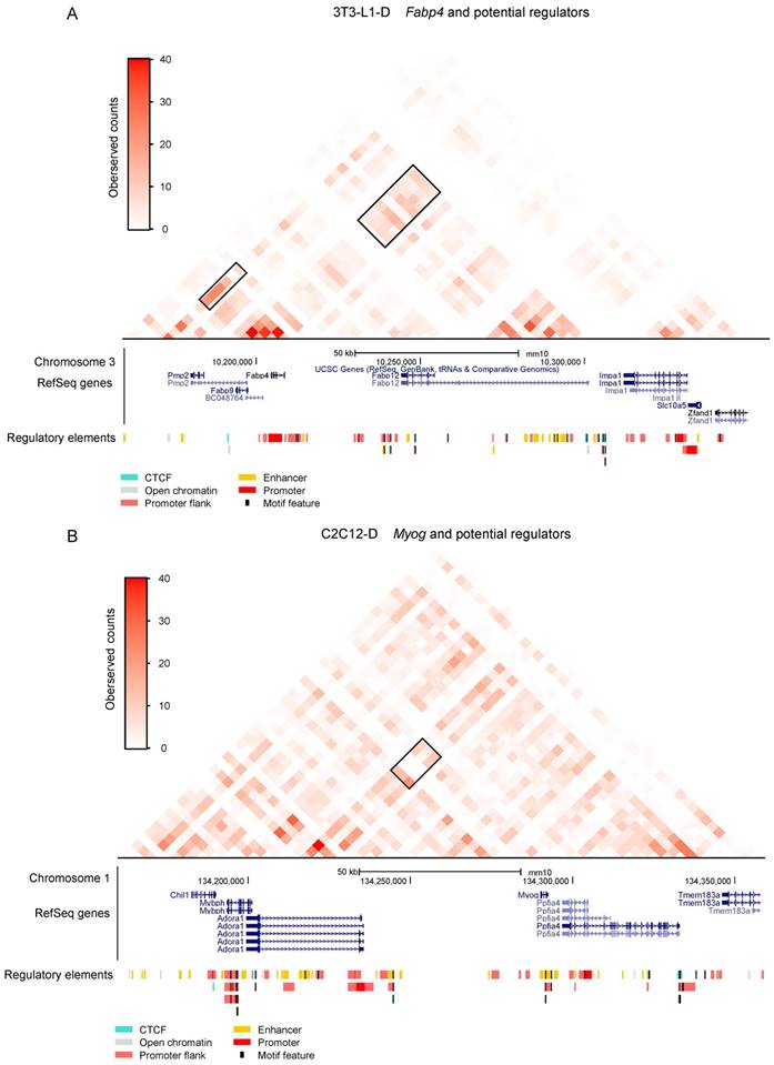 Int J Biol Sci Image