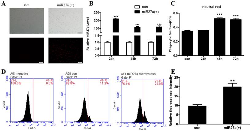 Int J Biol Sci Image