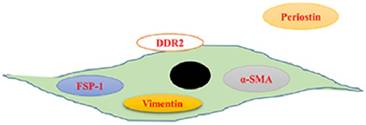 Int J Biol Sci Image