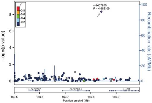 Int J Biol Sci Image