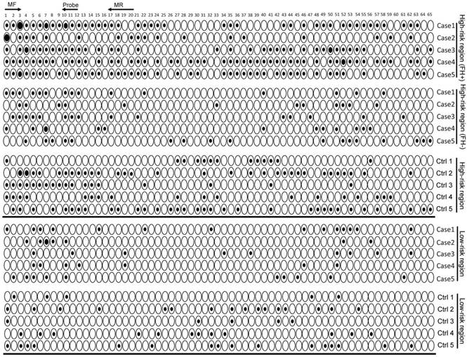 Int J Biol Sci Image