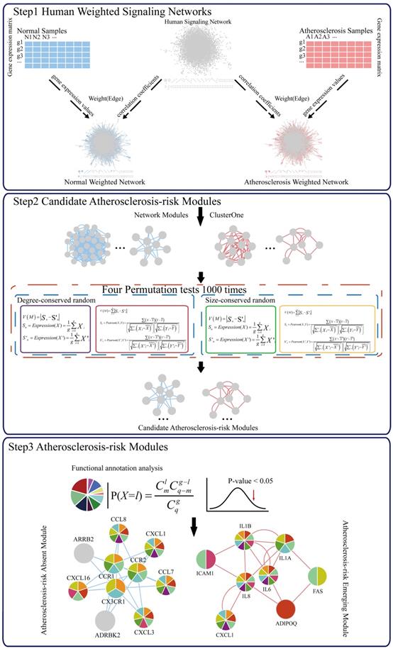 Int J Biol Sci Image