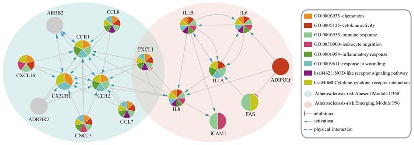 Int J Biol Sci Image