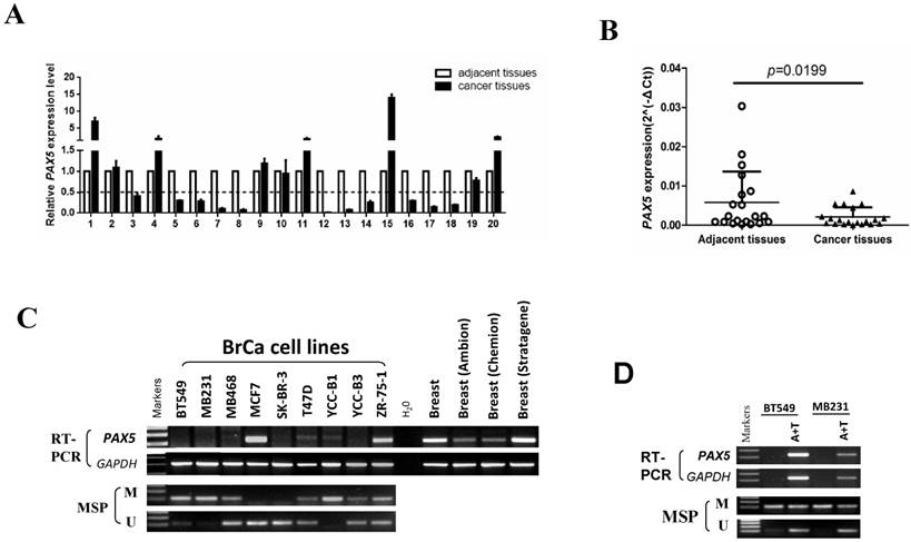 Int J Biol Sci Image