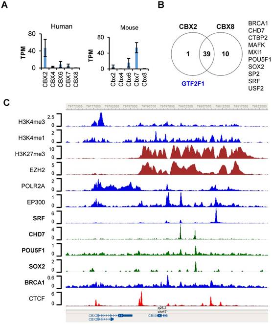 Int J Biol Sci Image