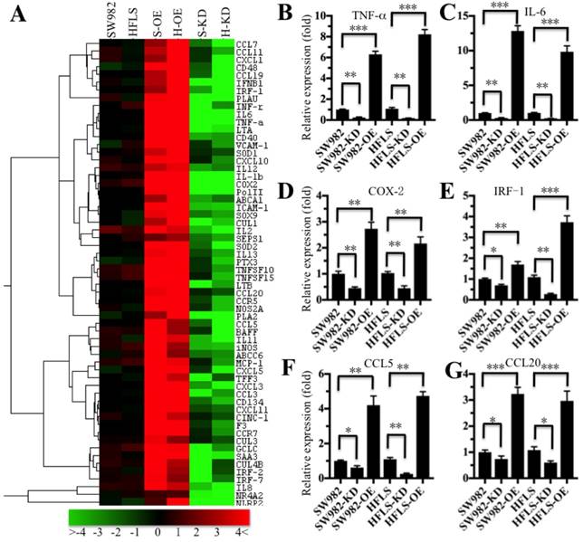 Int J Biol Sci Image