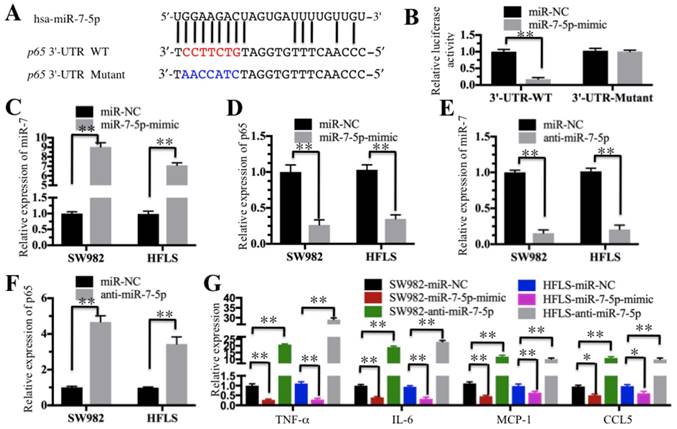 Int J Biol Sci Image